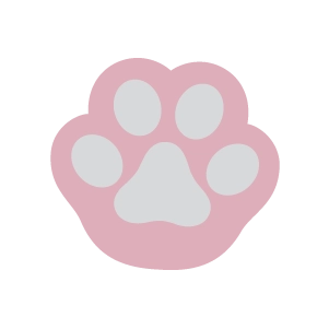 Peluquería canina en León