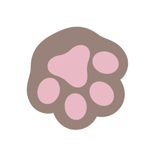 Huellitas peluquería canina en León