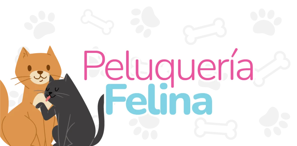 Huellitas peluquería felina en León - Tarifas