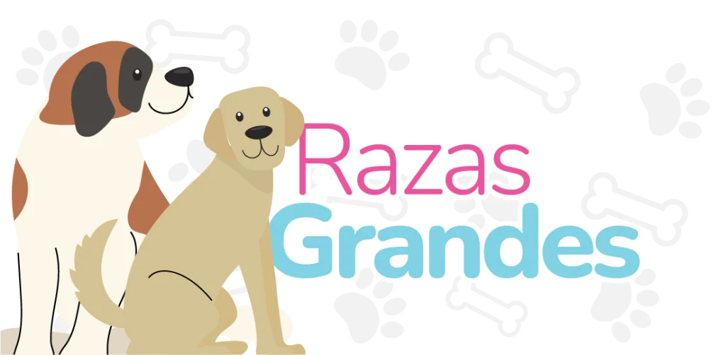 Huellitas peluquería canina en León - Tarifa razas grandes