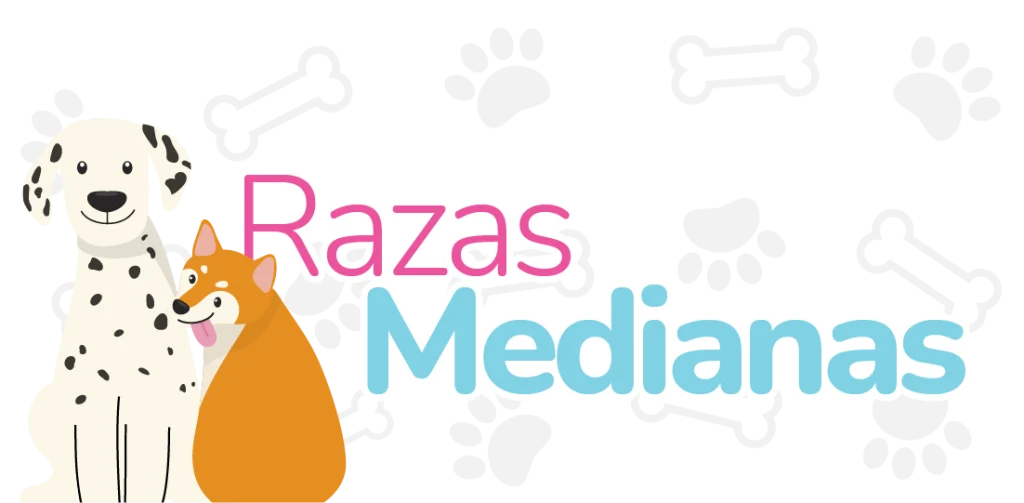 Huellitas peluquería canina en León - Tarifa razas medianas