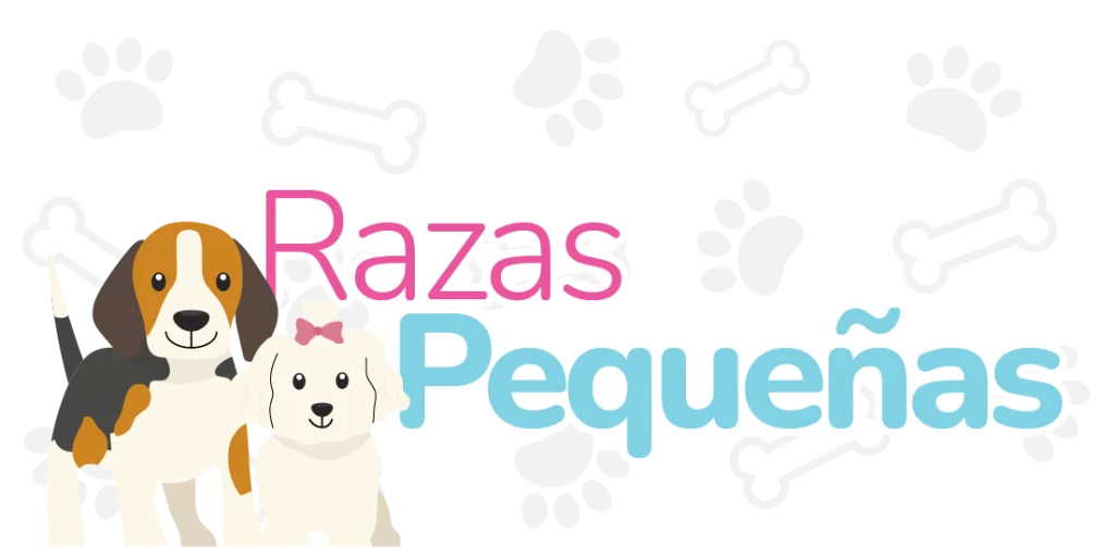 Huellitas peluquería canina en León - Tarifa razas pequeñas