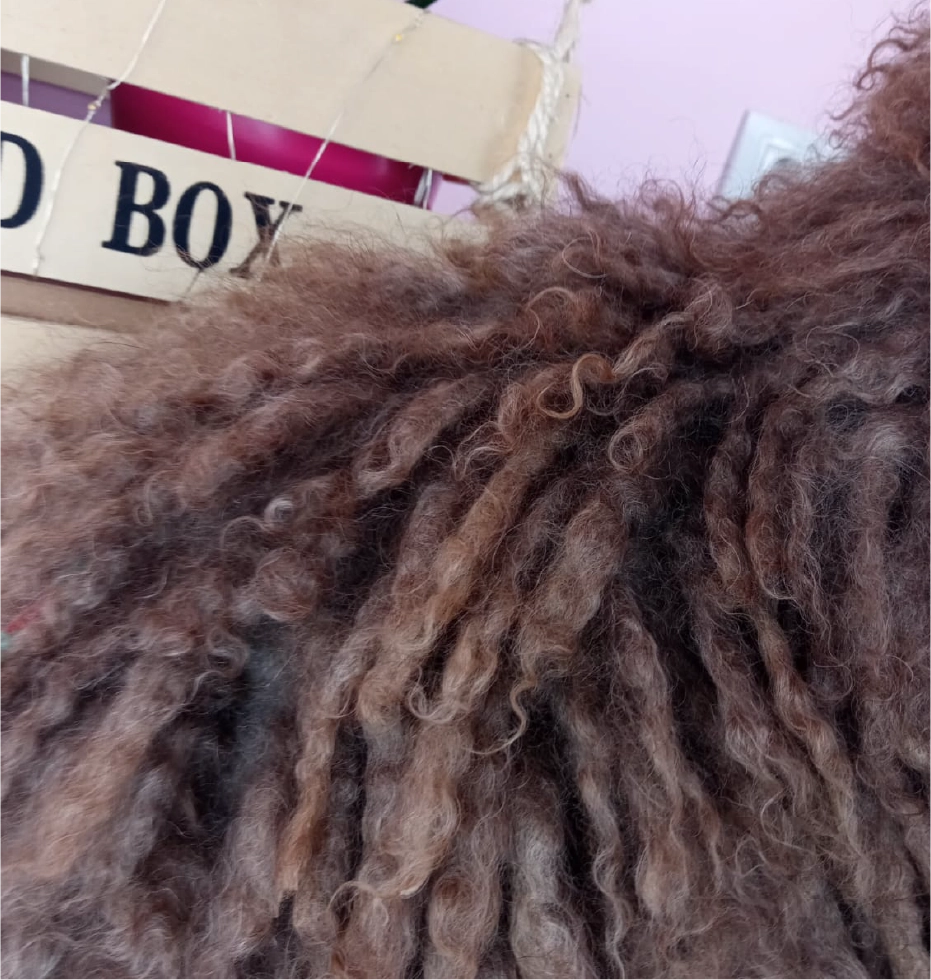 Corte de cordones perro antes